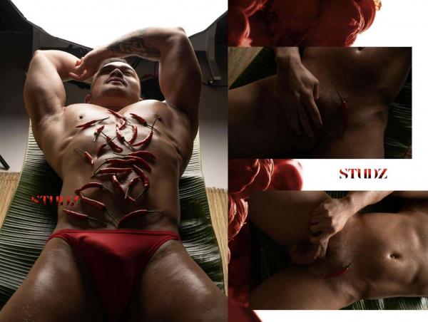 STUDZ-01--Zesty--Ebook--Video-